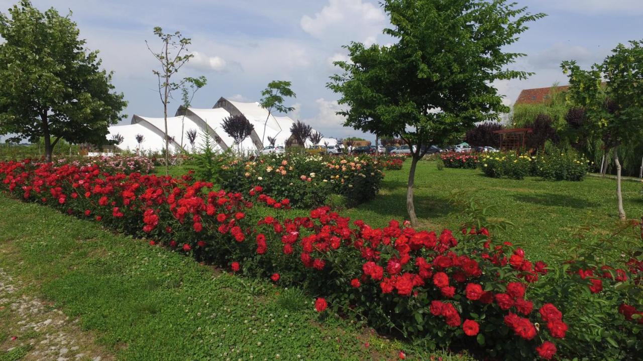Hanul Moara Cu Noroc Ineu  Dış mekan fotoğraf